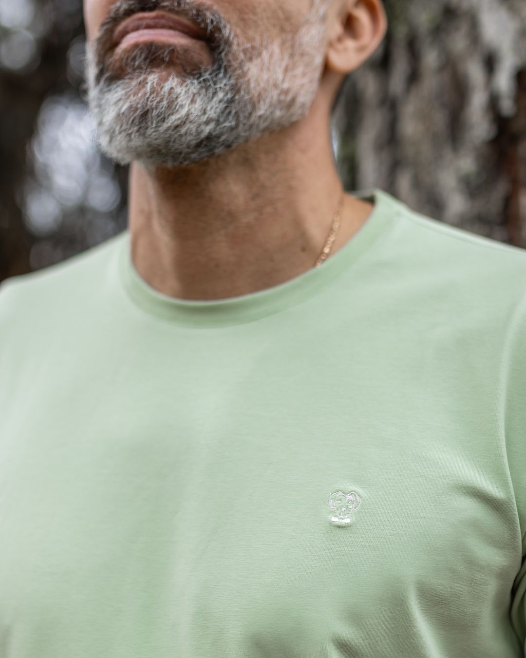 Camiseta Antimanchas Verde Matcha - Talla Regular