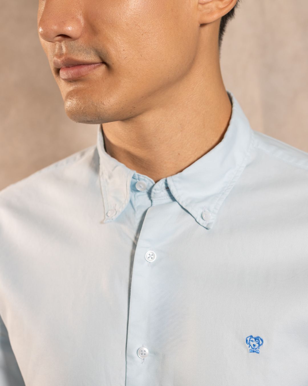 Camisa Antimanchas Oxford Azul Sky Logo Combinado